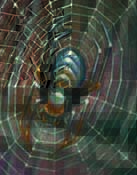 SteelSpider