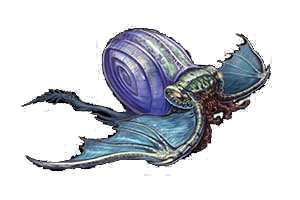 Swimming Snail