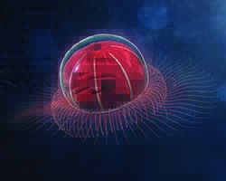 Jellyfish